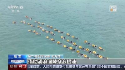 濒海游泳、实弹射击 陆军开展多种训练锤炼作战硬实力