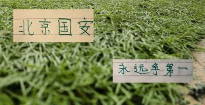 北京国安亚冠精英赛3大主力缺席 但他们比申花好的是 蒙哥马利手握8名外援