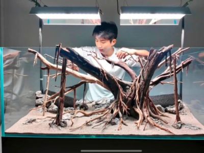 安徽小伙在湖南做水族造景师，最高一单卖了4万元！本人：卖的不仅是景观，更是情绪价值