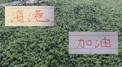 间歇期后！ 领头羊成都蓉城剩余比赛刚4场 但卫冕冠军海港是多达10场左右