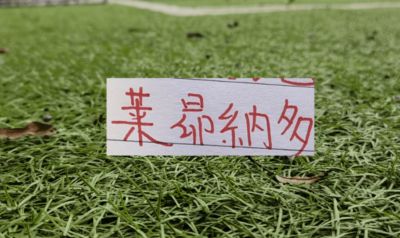 海港头号射手莱昂也是敬业！别人间歇期穿保护靴都要旅游 他是选择静养康复