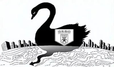 尹波：山东泰山--被黑天鹅纠缠不休的倒霉蛋儿