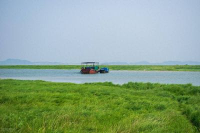 永修一马术俱乐部把鄱阳湖湿地当成跑马场 拒不整改被罚款3万余元
