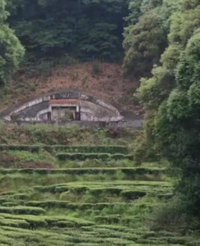 河南一男子，把祖坟上的草全拔了，结果当天就出事了