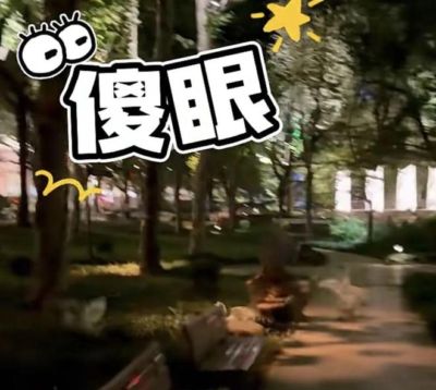 太恶劣！上海市中心绿地深夜突发，四人手持网兜围追堵截……市民劝阻遭怼：“死不了，抓着玩一下！”