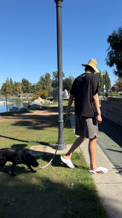 忙里偷闲！杨瀚森社媒晒照 训练之余戴着草帽遛狗