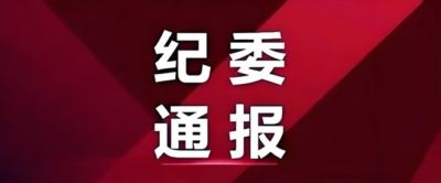 他接受纪律审查和监察调查