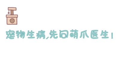中超进球的高光时刻，他献给了一只逝去的奶牛猫