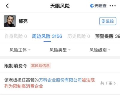 万科前董事会主席郁亮被限高