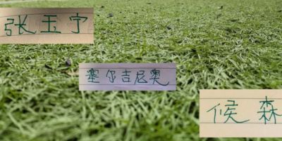 第18轮官榜！久违单轮最佳球员评选回来 张玉宁+侯森入选 跑动榜是塞鸟入围