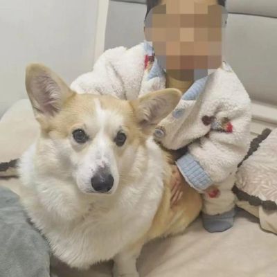 丈夫离家12分钟遛狗，留2岁幼童独自在家坠亡，妻子打了丈夫三巴掌对方称“再动我一下就报警”；丈夫：理解妻子情绪，我是过错方也很愧疚