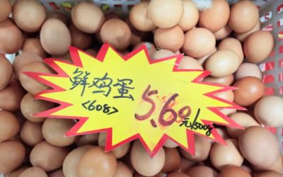 油价突然下跌！9月17日调价后92,95号汽油价格，蛋价“起飞”，风向大变？