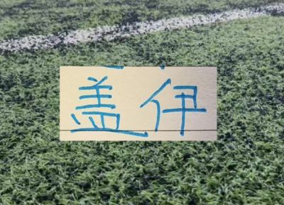 上桌 不再是米内罗 而是变成盖伊！亚冠二级联赛首胜后 申花也是一扫阴霾