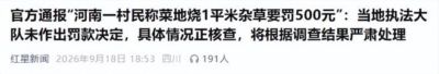 从这两条“荒诞”新闻，看清了普通人最无力的悲哀