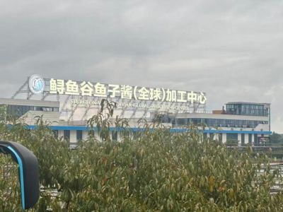 湖北宜都：日发万罐鱼子酱背后的渔业“上岸”故事｜活力中国调研行