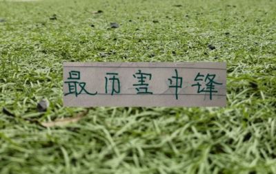 接近1米9 但又不到1米9的锋线大杀器！申花有阿苏埃 北京国安有张玉宁