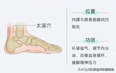 人体4条“溪”：太溪管腰、后溪管颈、申脉照海管你睡不睡得着