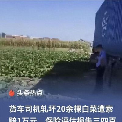 20棵白菜索赔1万元？辽宁辽阳天价赔偿纠纷，结局和法理都值得深思