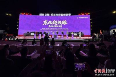 故宫红墙下，青春“开战”！东北四省区电竞超级联赛沈阳沈河区启幕