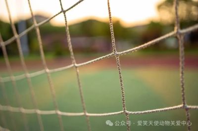 看球助公益！这个周日来场特别的“双向奔赴”！
