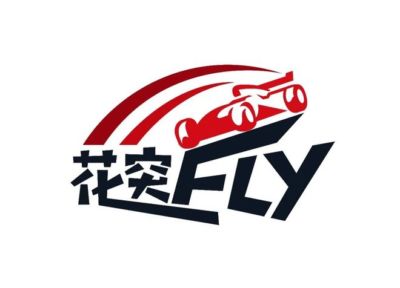 自有媒体的F1有多赚钱，看看多梅尼卡利的工资条！