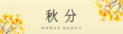 “十一”为永康出征！赴舟山助威球迷火热招募