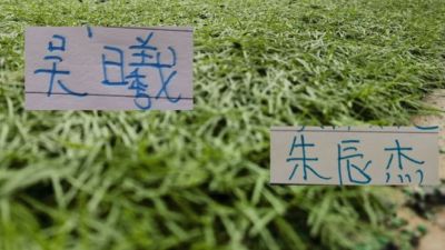 朱辰杰没有吃到黄牌!申花队长吴曦回应是否会出战明年的亚洲杯