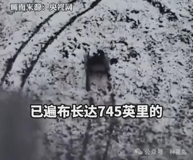 若乌克兰此举成功，俄罗斯将更加困难！