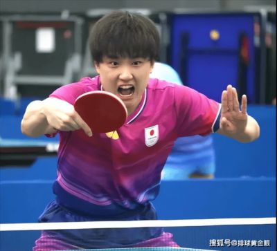 张本智和把松岛比喻为“野犬”！直言良性竞争才能够战胜中国选手