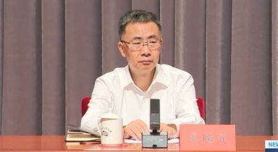 王陆进任河南省代省长