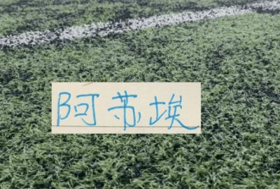 也是好事!大连斯坦丘 武汉的卡迪斯 申花阿苏埃重返国家队