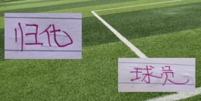 随着北京国安的归化塞鸟退出 大名单就剩下海港一个归化 而今年并没有新归化