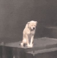 官宣分手！52分榜眼秀！再见了，拉塞尔！
