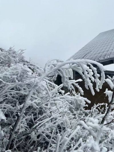 广东也能在室外滑雪？清远将建设标准化高山滑雪场！