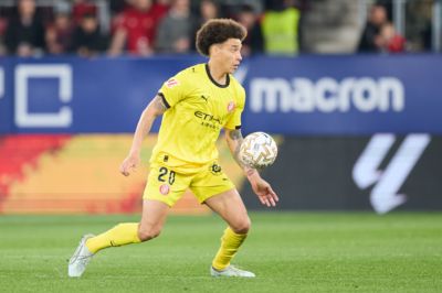 尼斯接近签约37岁老将维特塞尔，将签约1年+1年续约选项