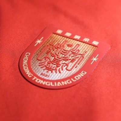 官方：重庆铜梁龙面向全国招募2015-2017年龄段优秀足球少年