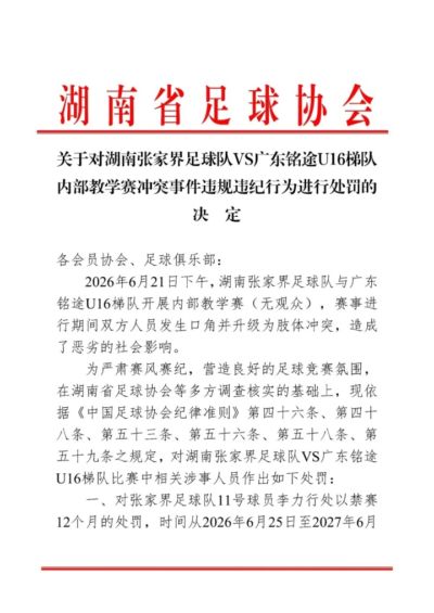 湖南省足协公布对张家界队处罚：一球员禁赛1年，三球员禁赛半年