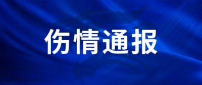 王毅右膝外侧副韧带损伤,陈哲超腓骨肌腱、外踝韧带损伤