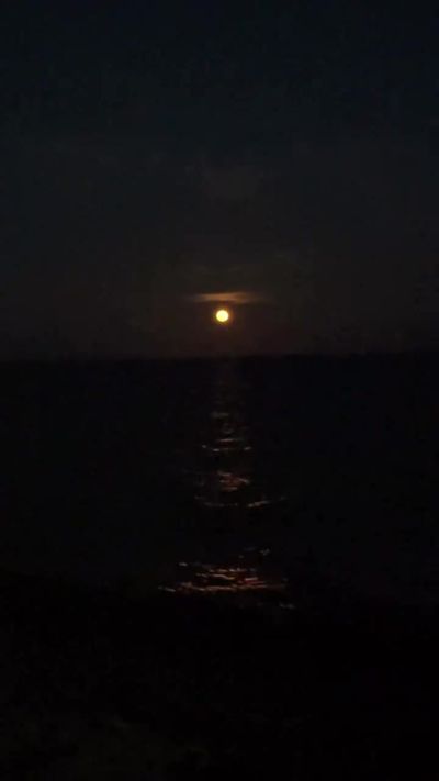 海上生明月!詹姆斯晒在游艇上观赏夜景:橘色圆月🌕
