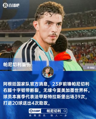 可惜!23岁帕尼切利3月训练重伤无缘世界杯 1米9大中锋本赛季20球
