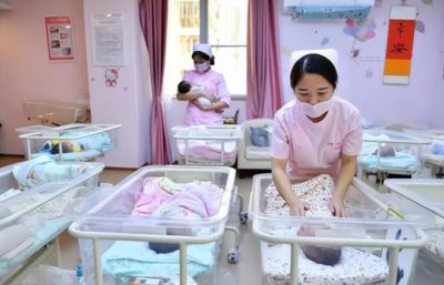生育大势已定！2026新生儿预估出炉，低生育率根本不是年轻人偷懒