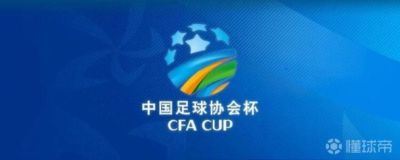 足协杯半决赛对阵：国安将战海港，英博对阵玉昆
