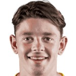 芬-德布勒因
