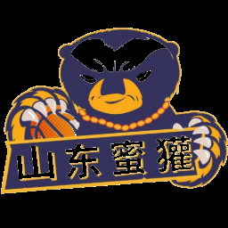 山东蜜獾