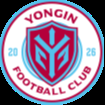 龙仁FC