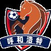 呼和浩特队