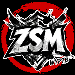 ZSM