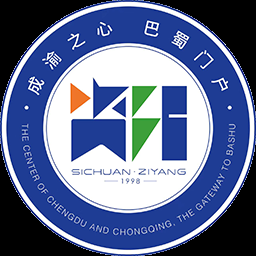 资阳队