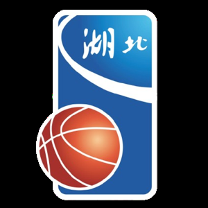 湖北全运男篮