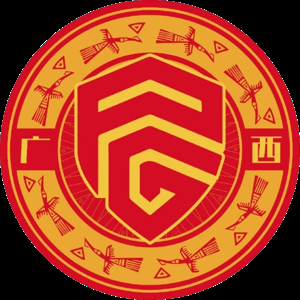 广西平果U21